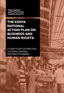 Kenya NAP case study