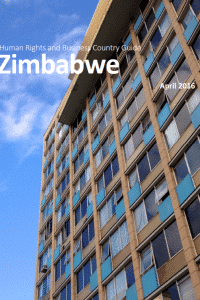 Zimbabwe front page