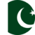 Pakistan flag round icon 256