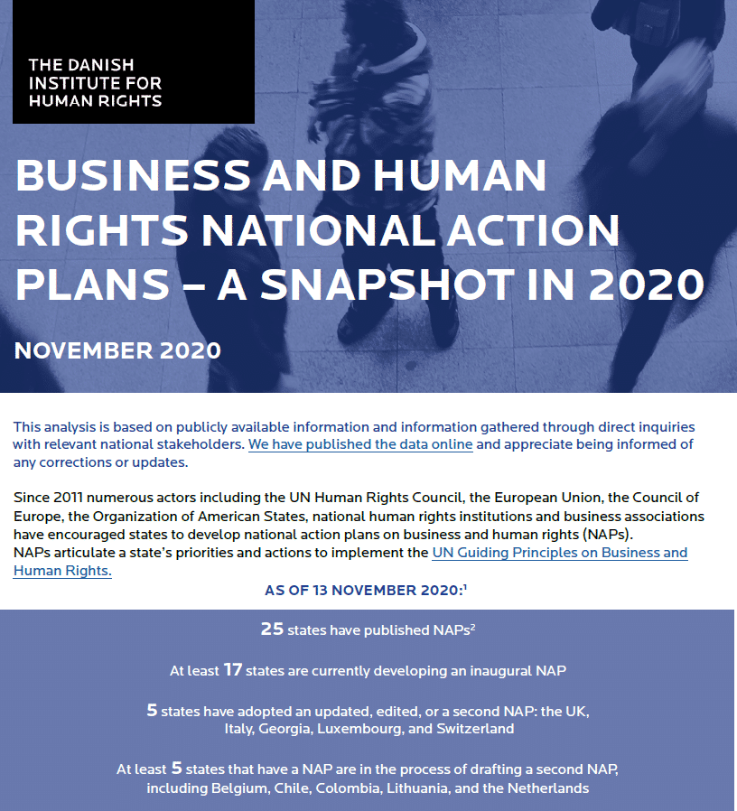 business and human rights action plan