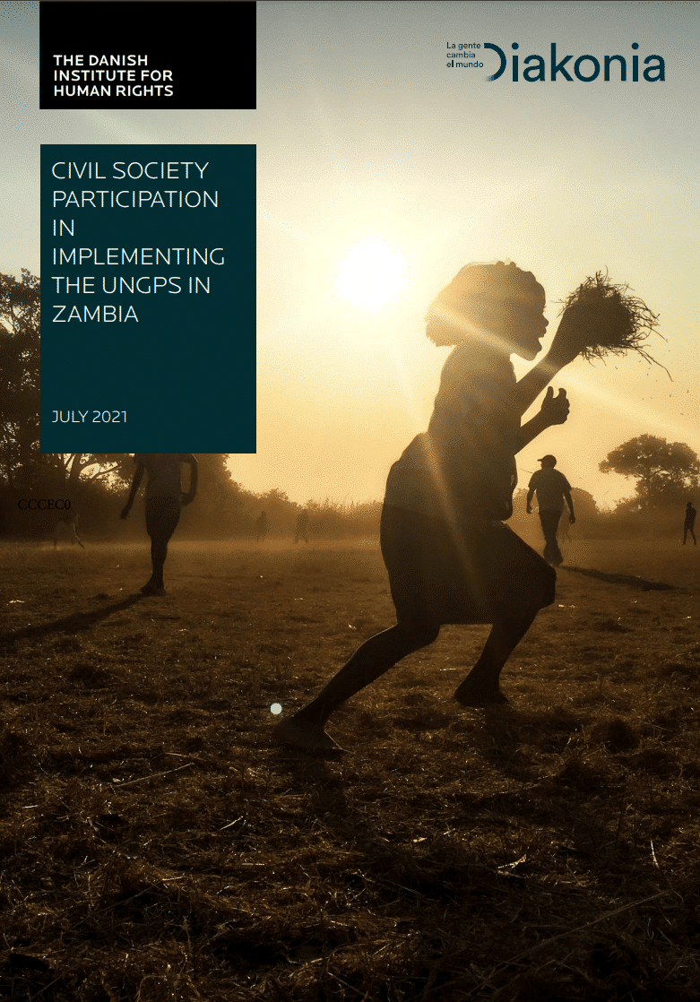 Zambia image