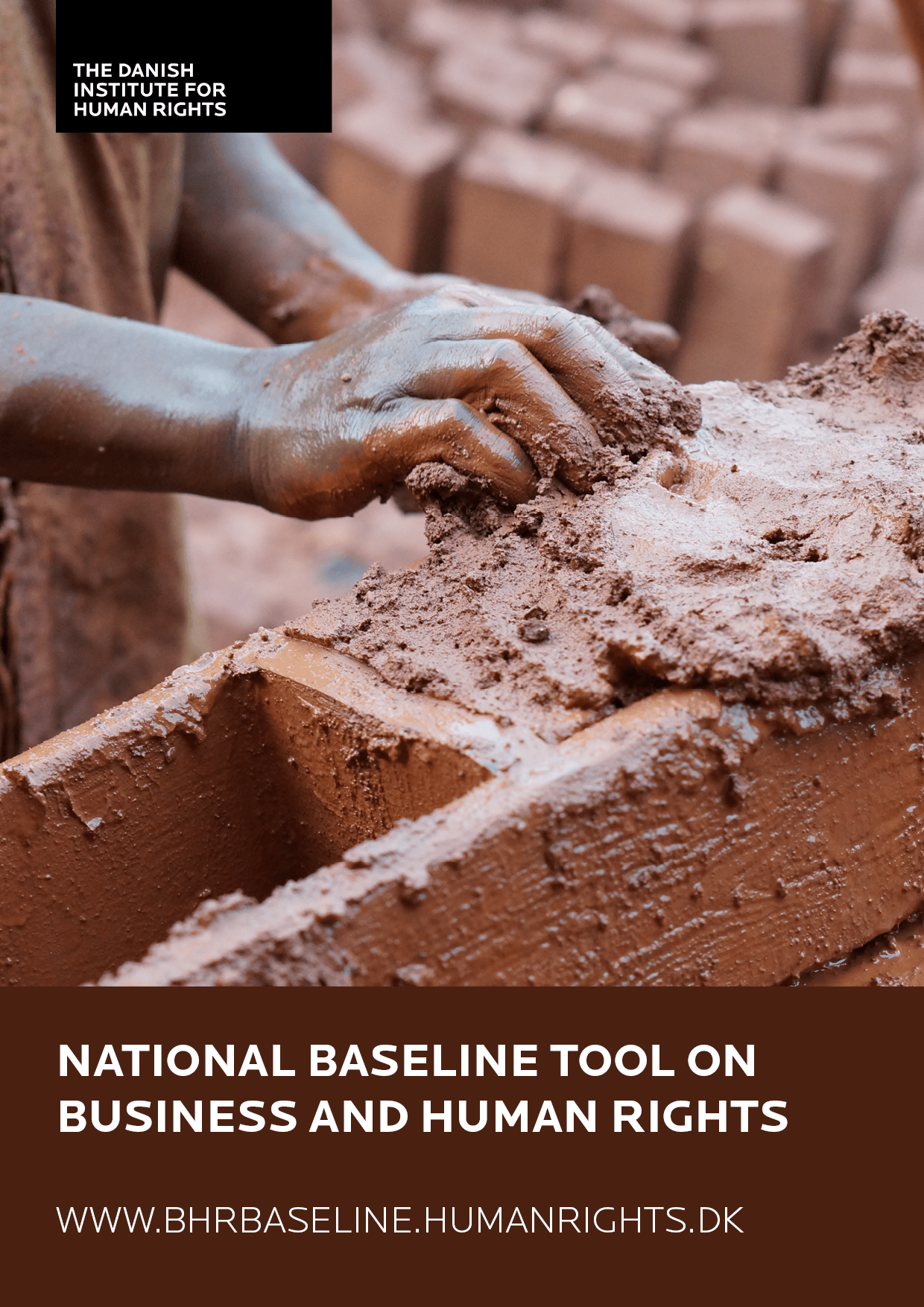 A4 cover national baseline tool on bhr en